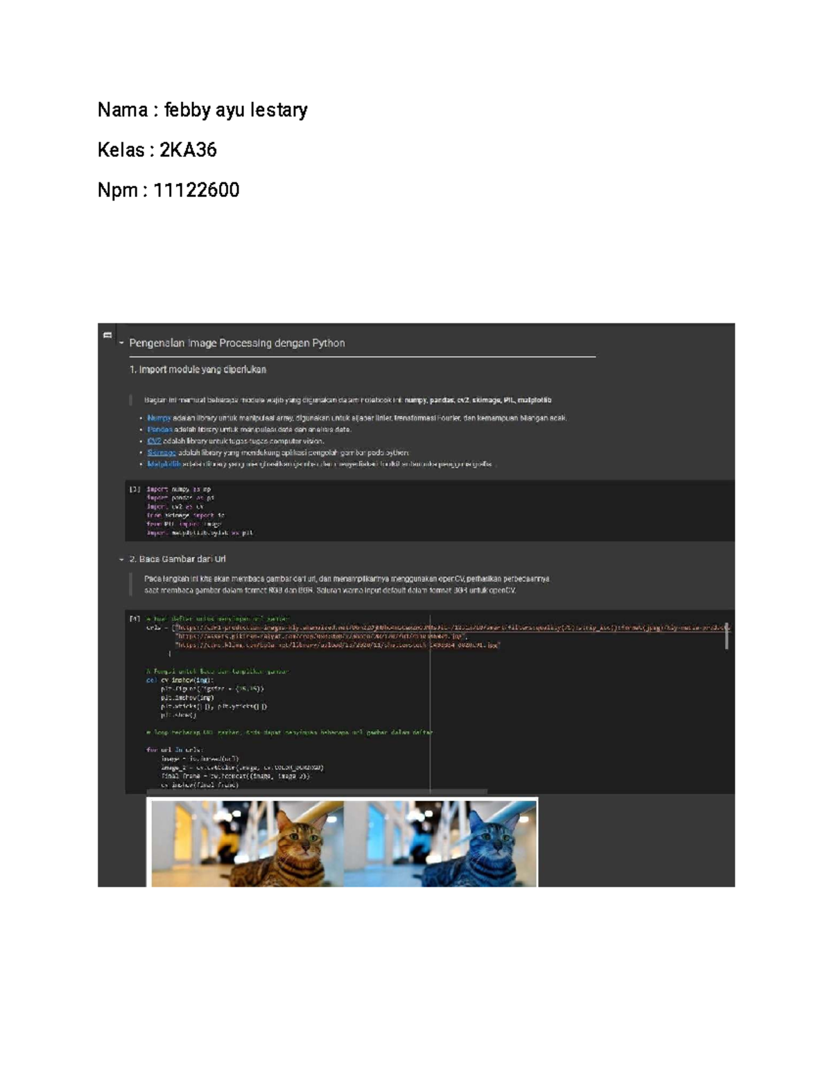 Praktikum M8: Pengenalan Image Processing dengan Python - Studocu