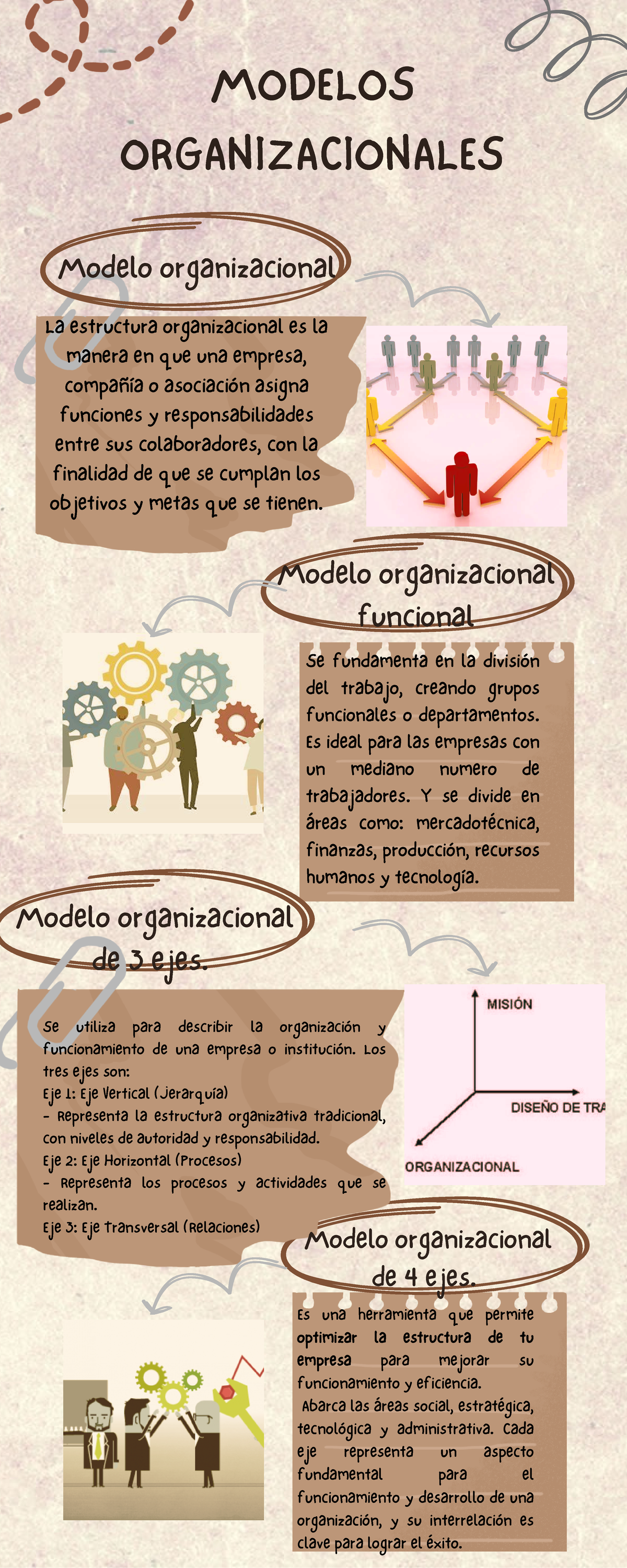 Infografía Modelos Organizacionales y Tipos de Estructura - Studocu