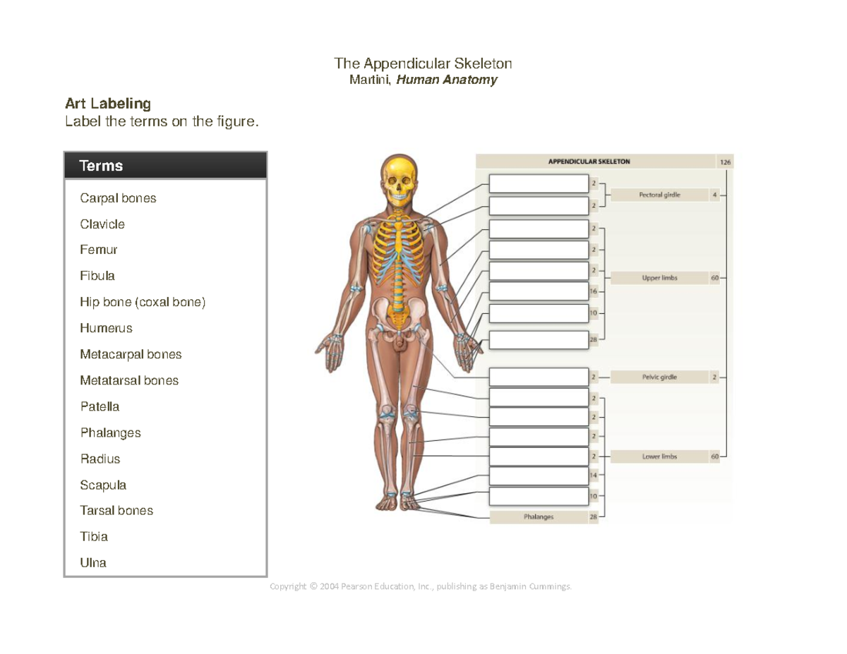解剖学 1 Anatomy 1 解剖学 1 Anatomy 1 Anatomy chapter 1 - intro to anatomy