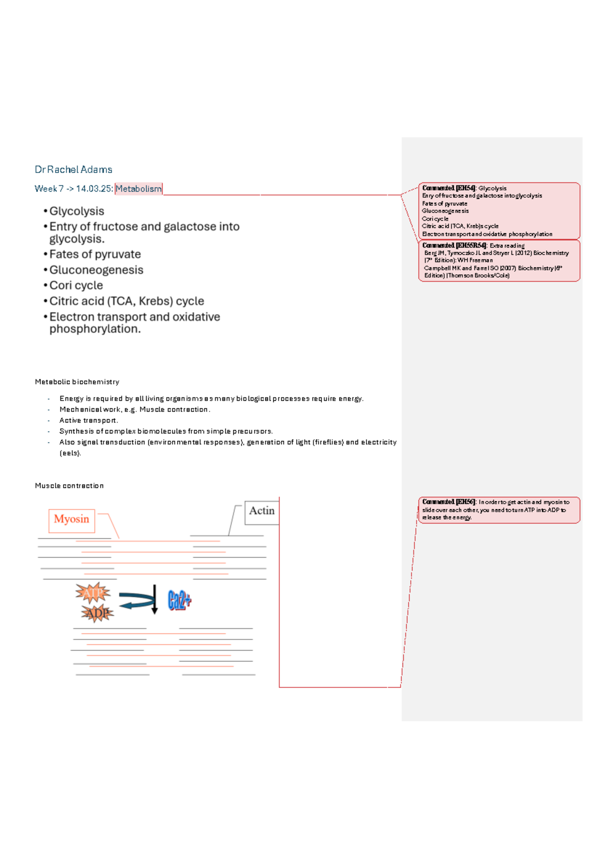 Metabolism and Energy Production: Notes for Biochemistry 101 - Dr ...
