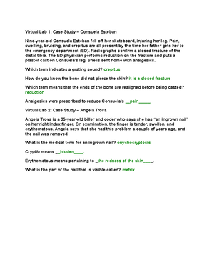 Week+5+Online+Lab - class lab - Week 5 Lab – Claims Simulation Chapter ...