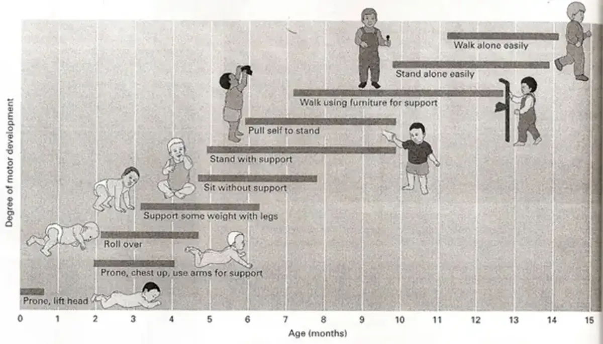 Human Motor Skill Development: Key Concepts & Research Insights - Studocu