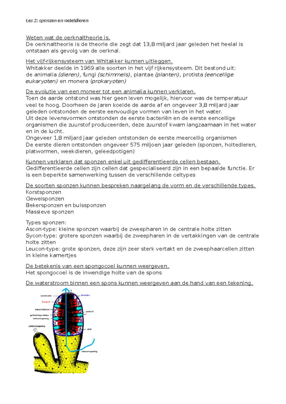 Les 2: Sponzen en Neteldieren - Evolutie, Celstructuren en Transport ...