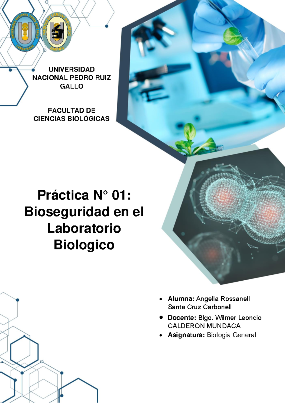 Práctica 01: Bioseguridad en el Laboratorio de Biología - Biología ...
