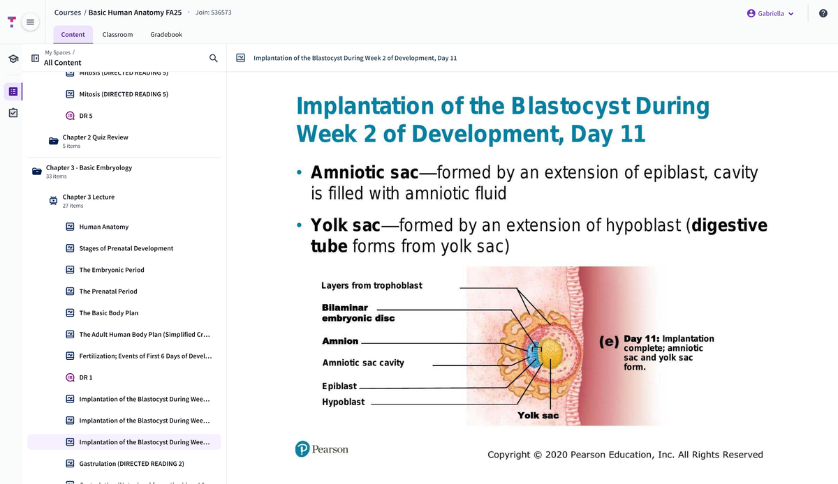 Final Exam Study Guide for Basic Human Anatomy [XYZ123] - Studocu