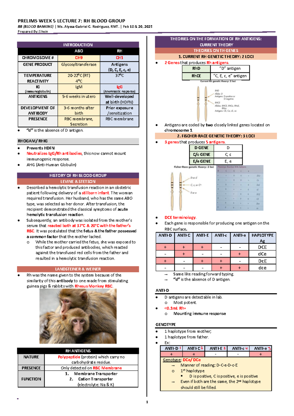 BB WEEK 5 LECTURE 7: RH BLOOD GROUP & BLOOD BANKING NOTES - Studocu