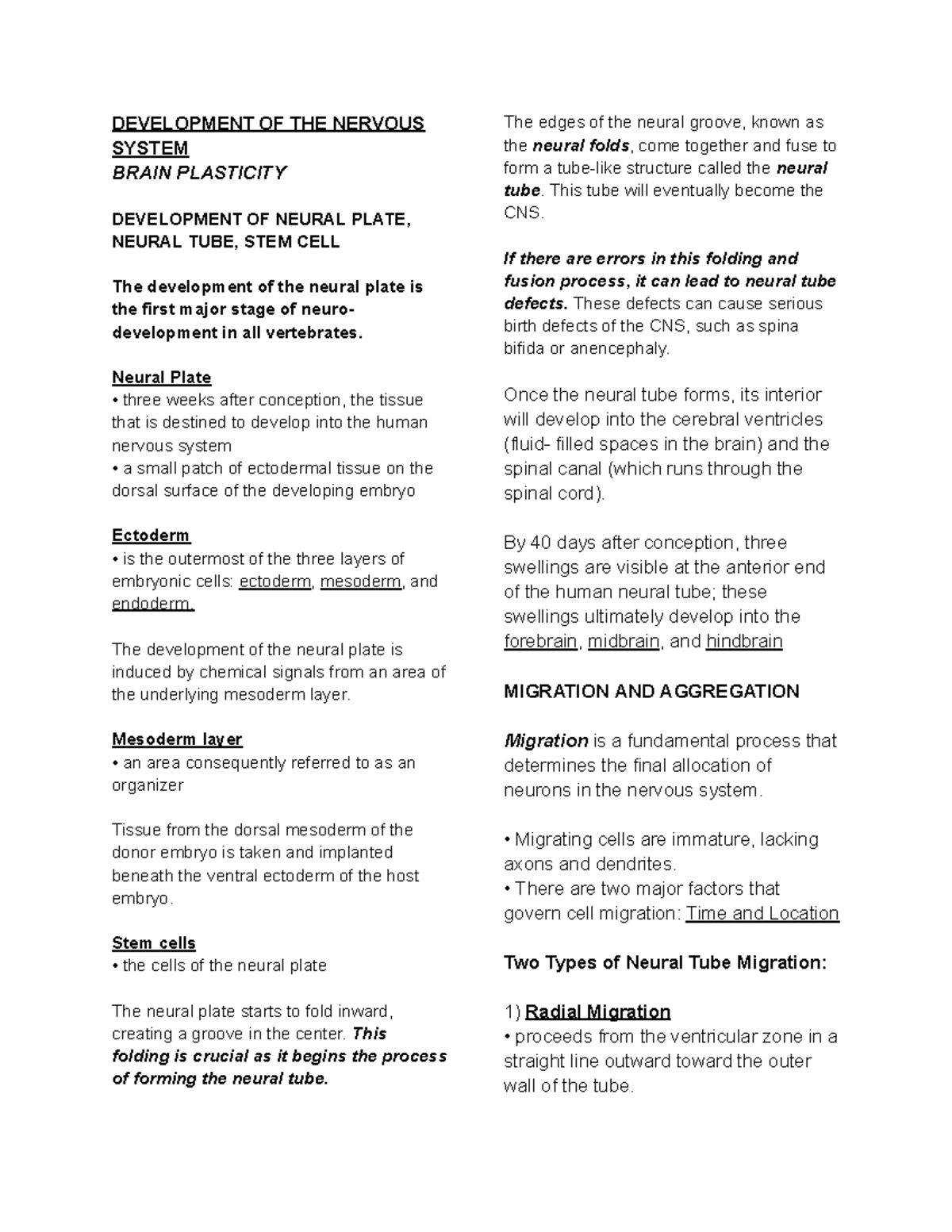 Brain Plasticity - Notes - DEVELOPMENT OF THE NERVOUS SYSTEM BRAIN ...