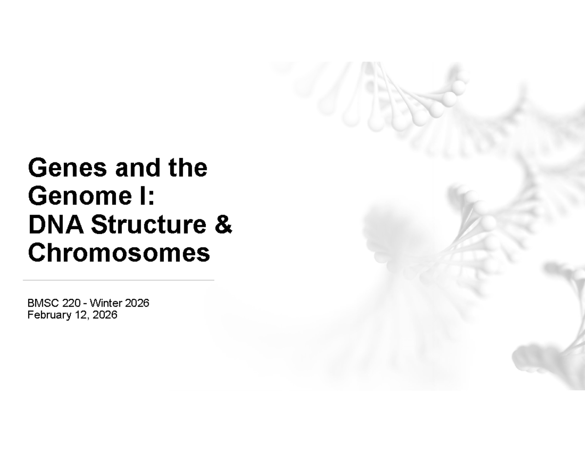 Lecture 12: Genes and Genome I - DNA Structure & Chromosomes BMSC 220 ...