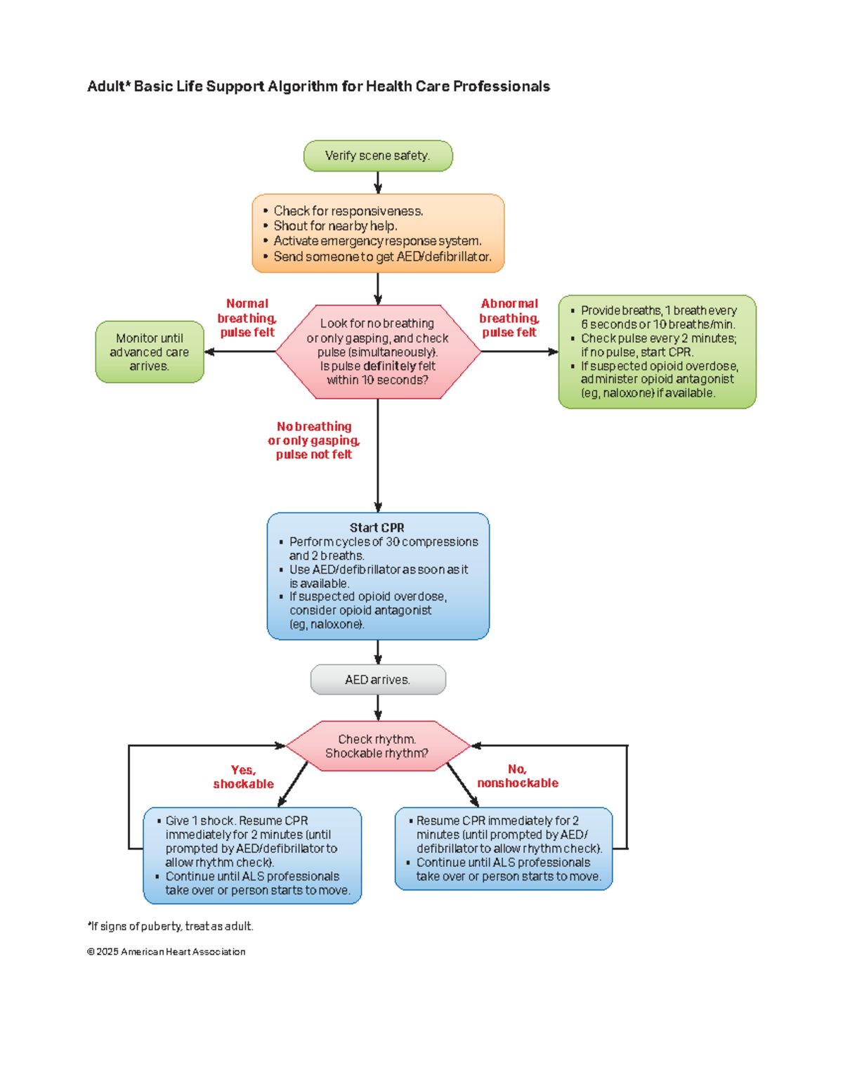Algorithm for Basic Life Support (BLS) - Adult Healthcare 250701 - Studocu