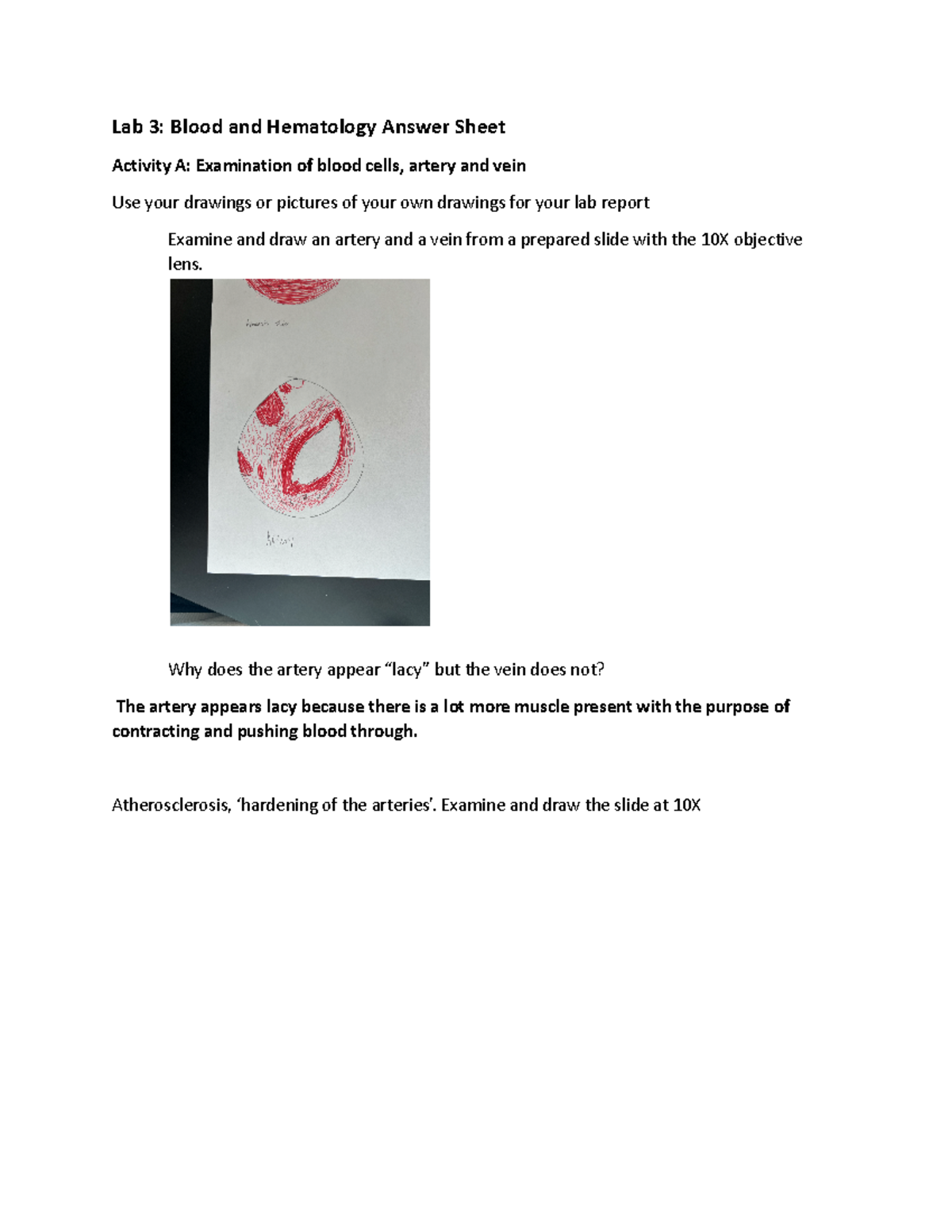 Lab 3: Blood and Hematology Answer Sheet for Lab Report - Studocu
