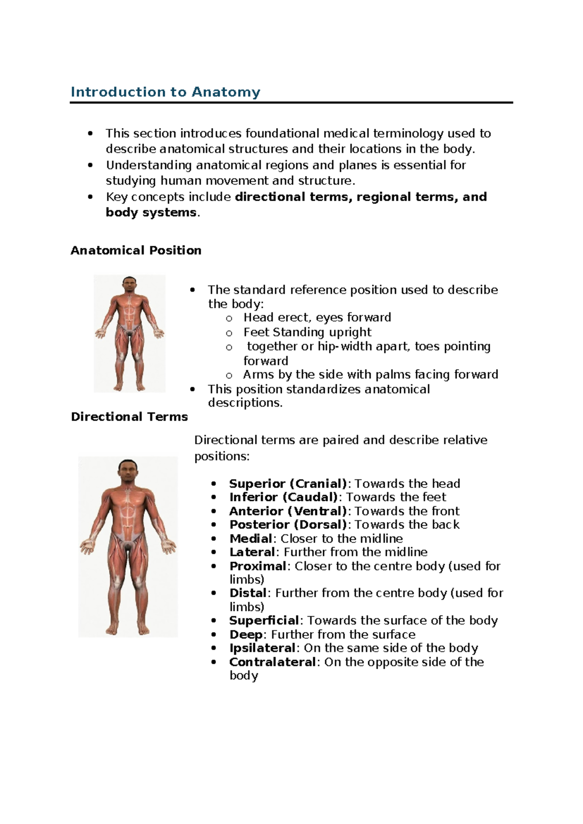 Introduction to Anatomy: Key Concepts and Terms for ANAT 101 - Studocu