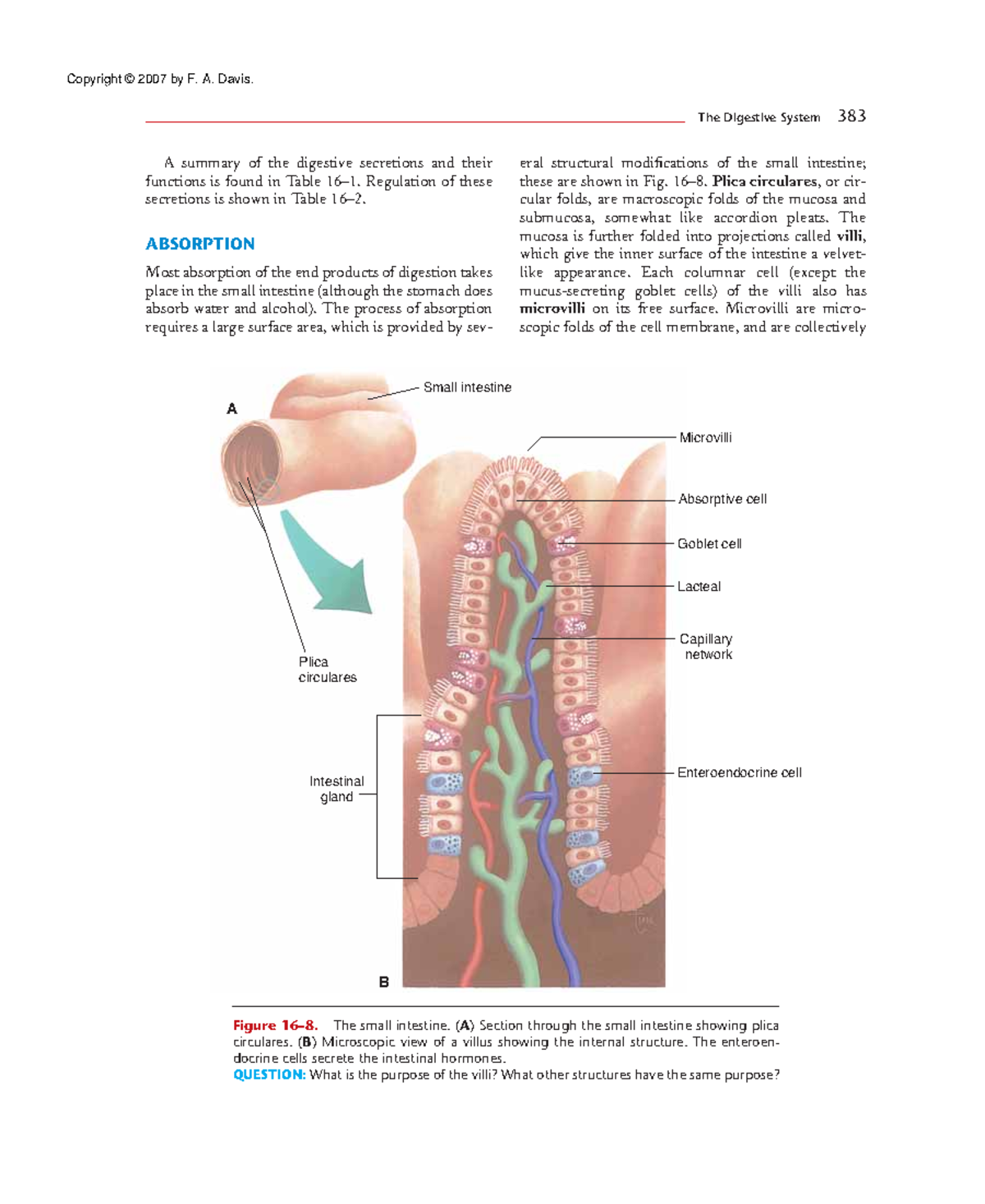 Anatomy and Physiology (41) - A summary of the digestive secretions and ...