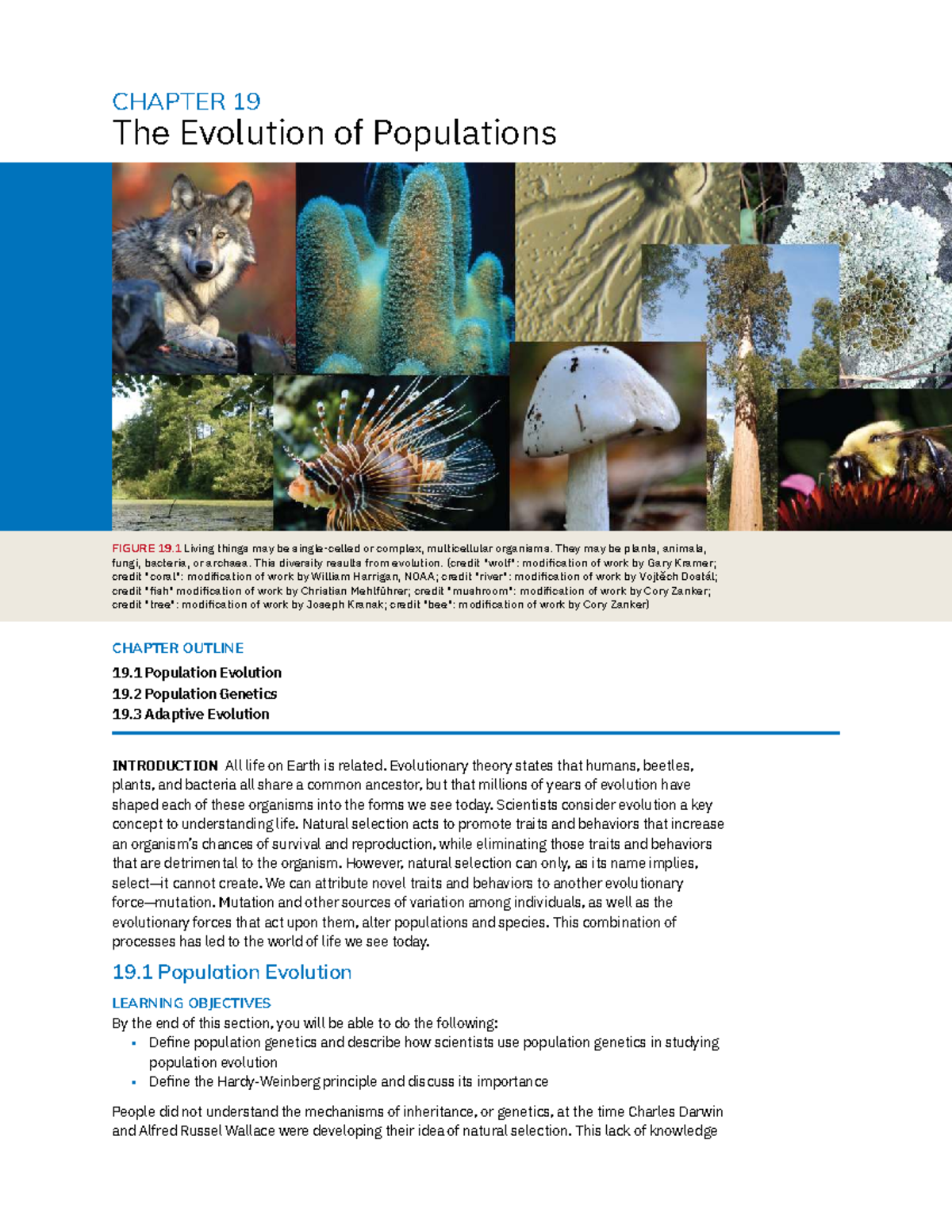 BIO 19: The Evolution of Populations - Key Concepts and Summary - Studocu