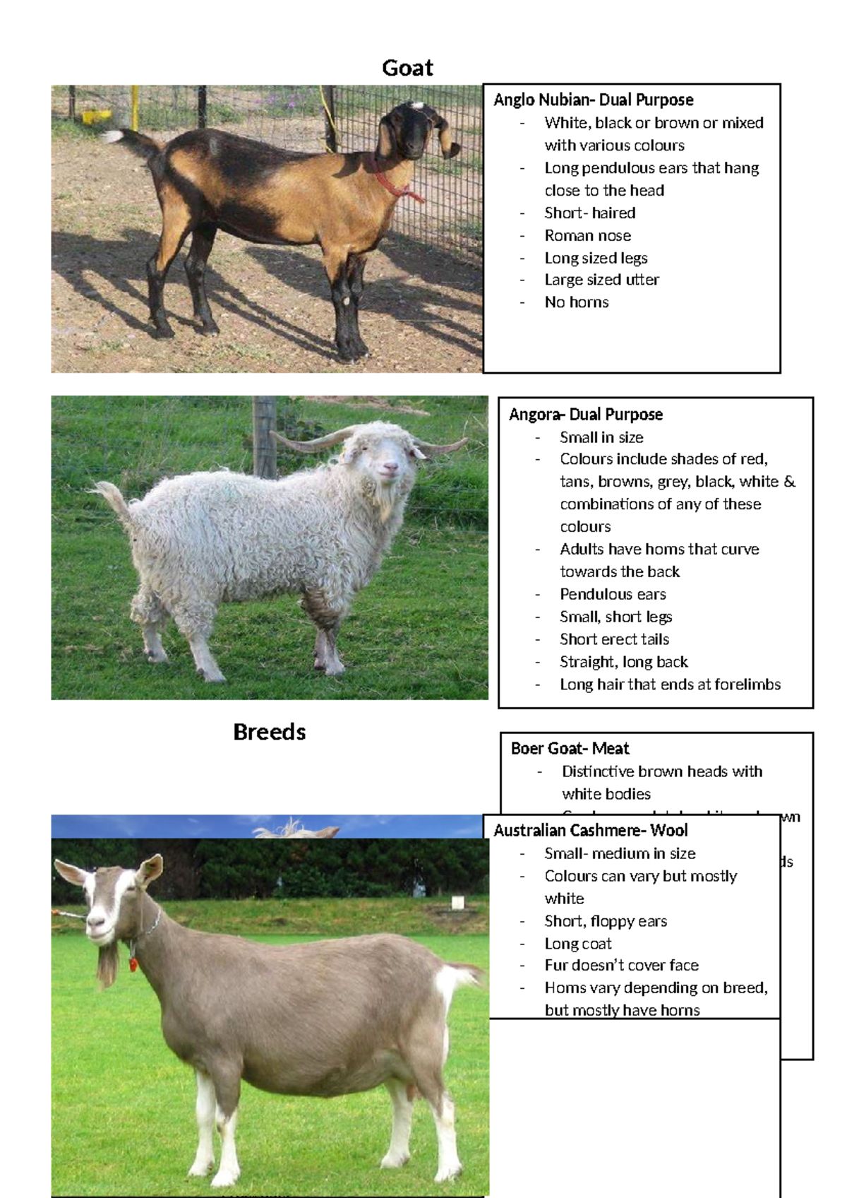 Goat Breeds Overview: Characteristics and Varieties - Studocu
