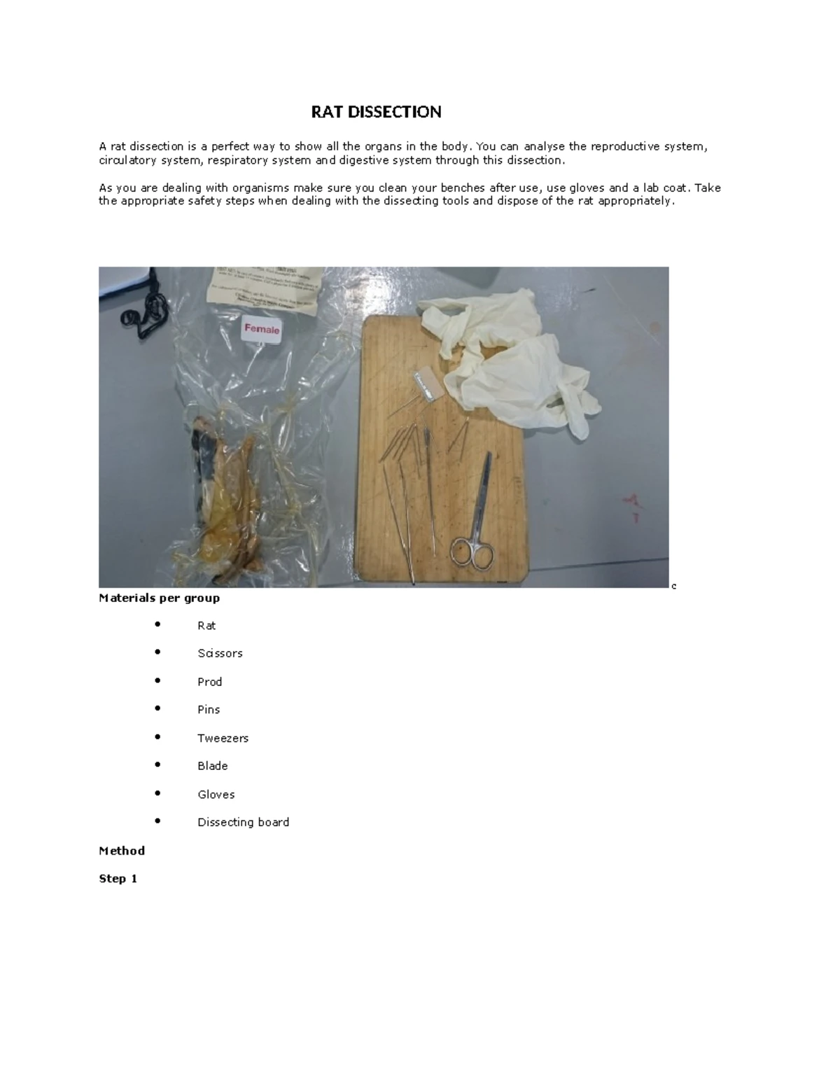 Practical Immunology 3rd Class: Rat Dissection Techniques and Protocols ...