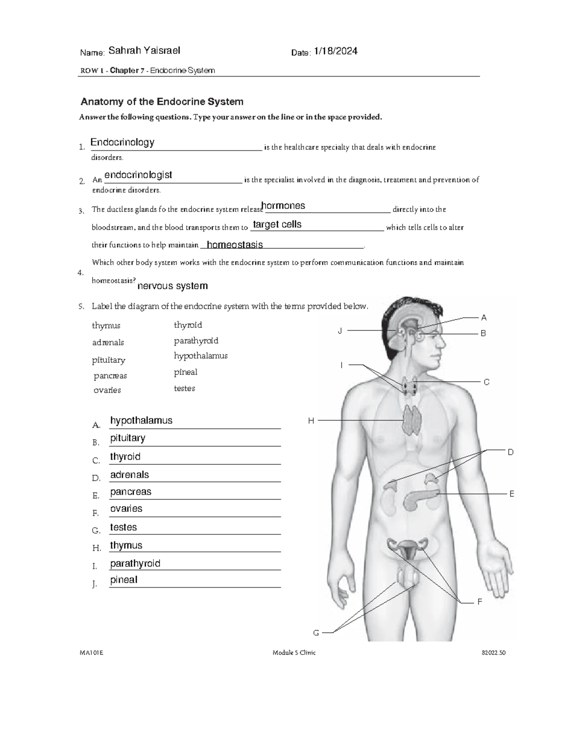 MA104 ROW 2 Chapter 48 Cardiopulmonary Procedures Review - Studocu