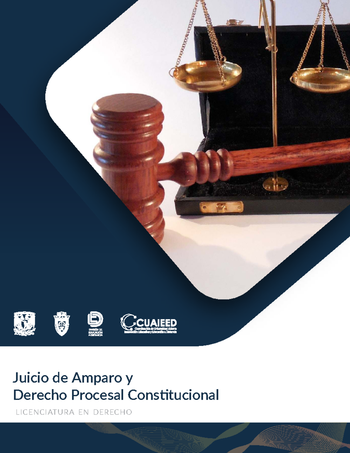 Antecedentes Históricos del Juicio de Amparo en Derecho Procesal ...