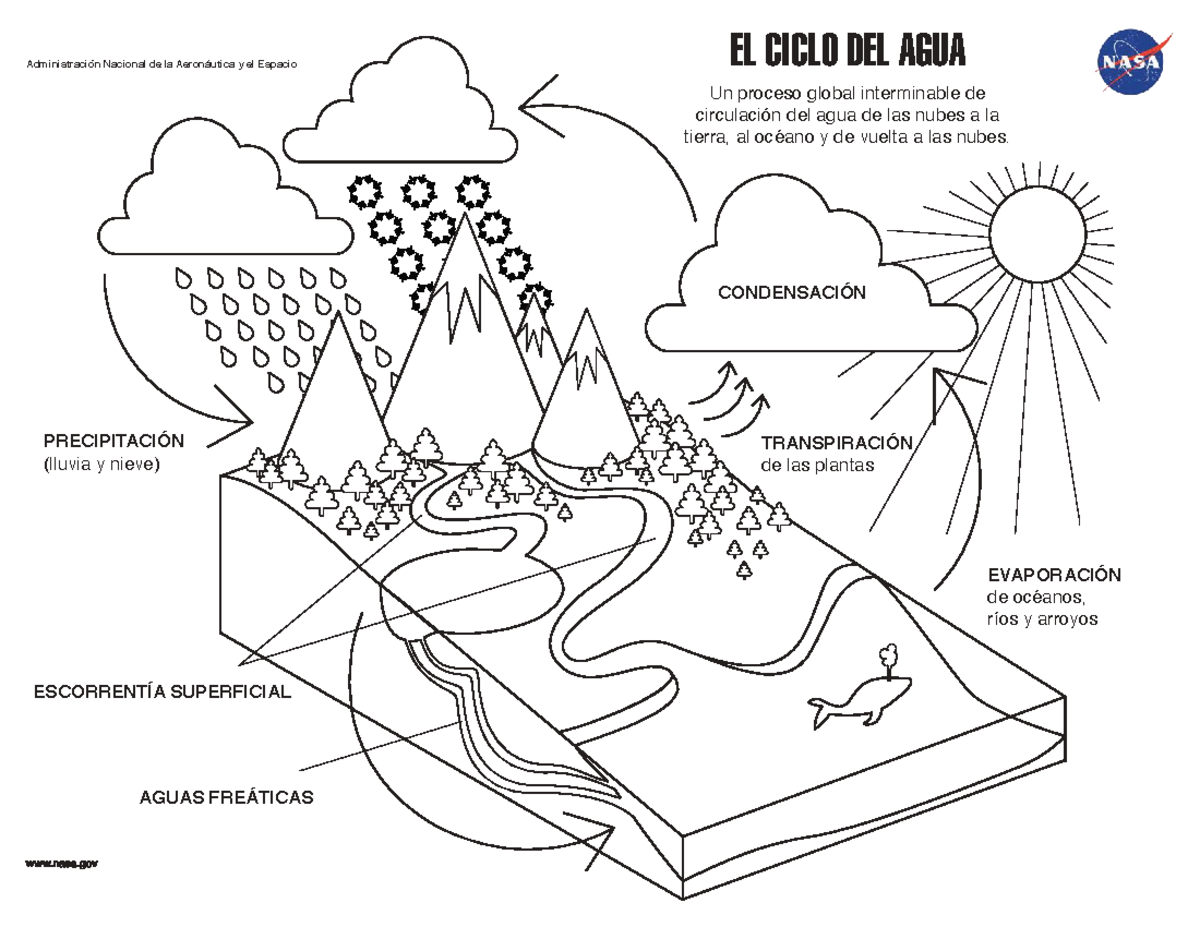 Ciclo del Agua: Proceso Global de Circulación del Agua - Studocu