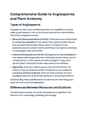 Plant Anatomy - Study Notes & Assignments - Studocu