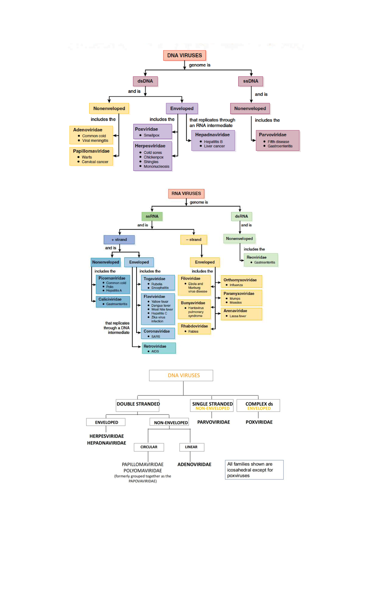 Virology Summary: DNA & RNA Viruses Overview (Course Code: MYCOVIRO ...