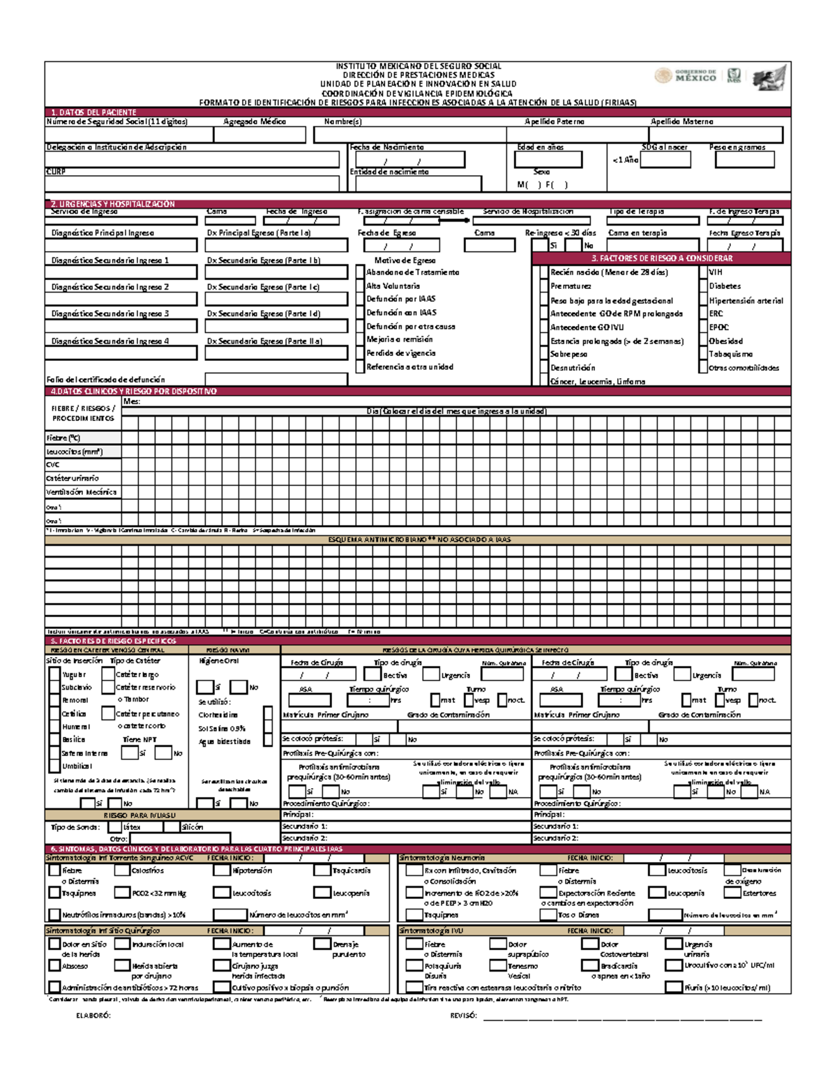 Formato FIRIAAS para Identificación de IAAS - IMSS 2025 - Document Preview
