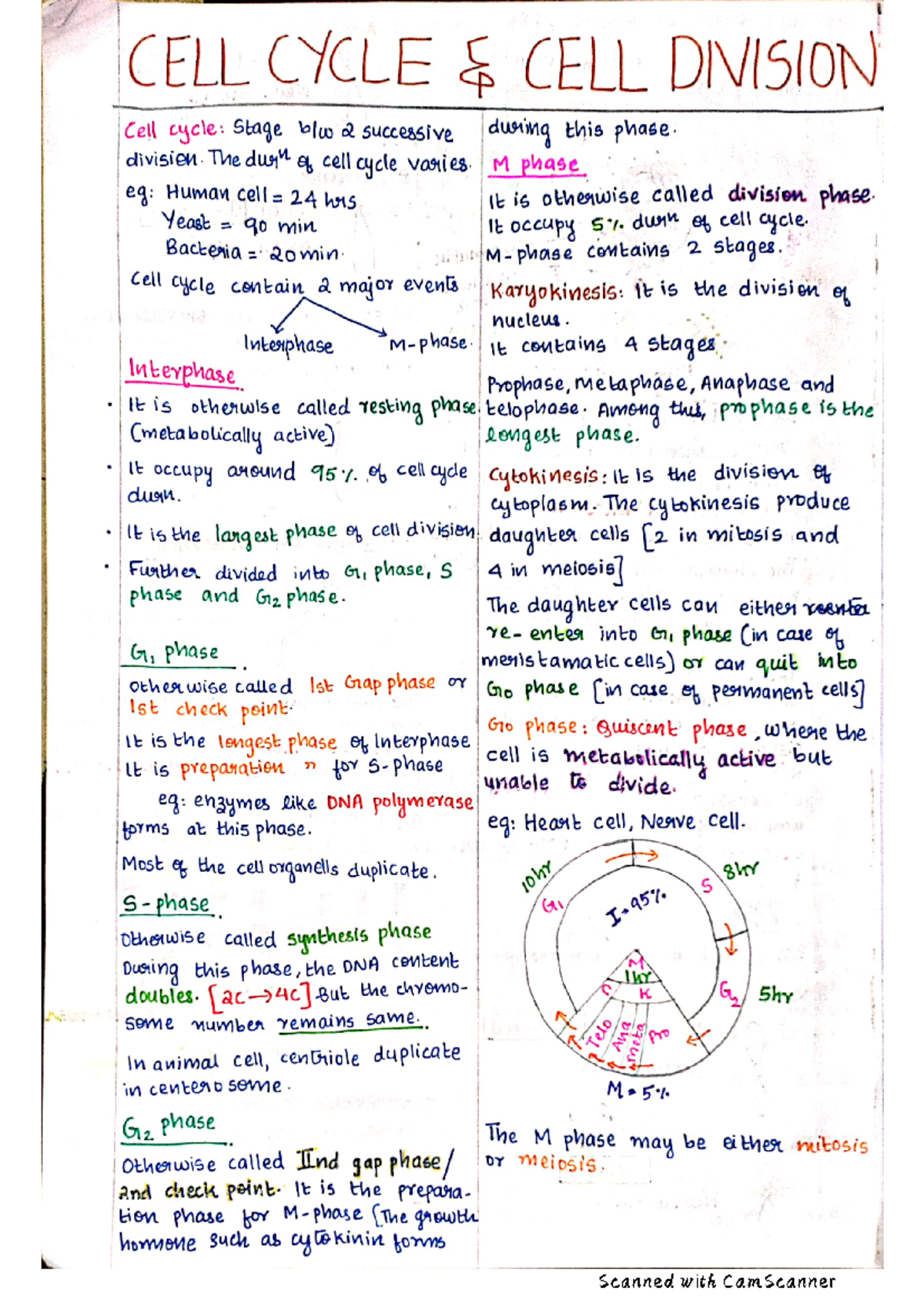 Kingdom Monera: Overview of Prokaryotic Bacteria and Their Characteristics  - Studocu