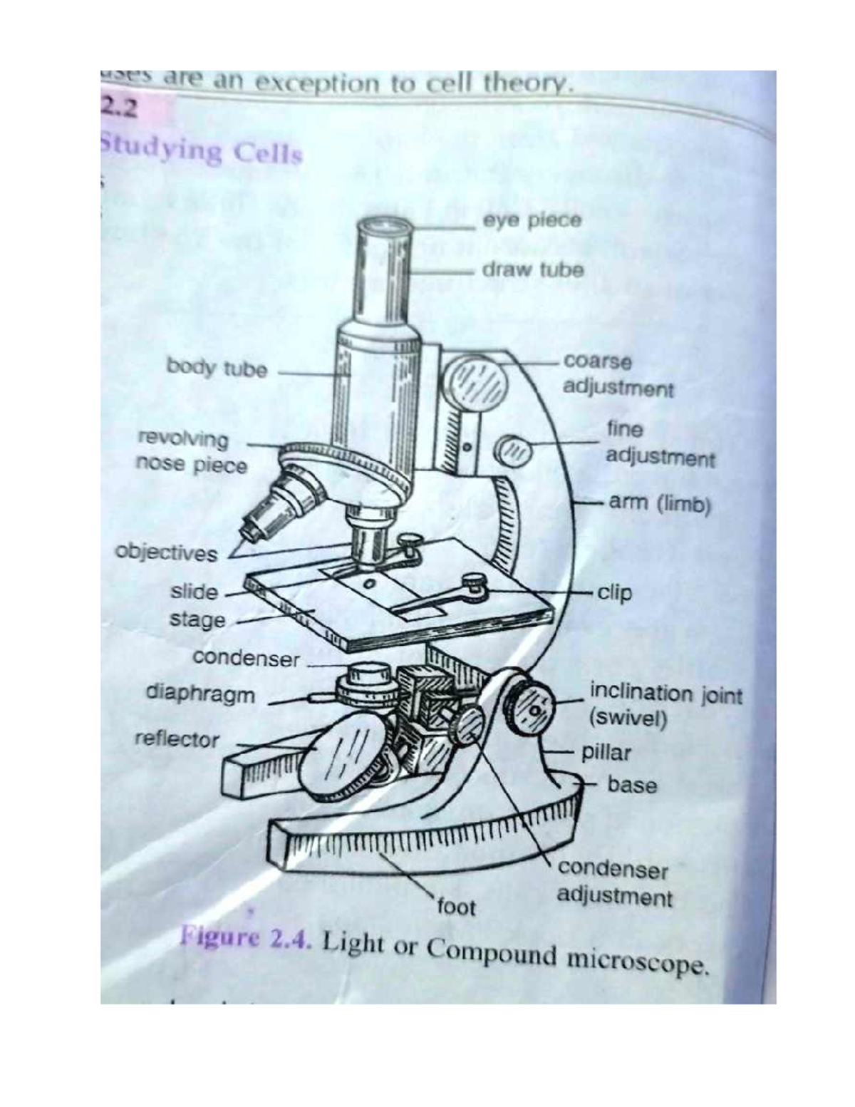 Microscope - Human Anatomy and Physiology with Pathophysiology - uses ...