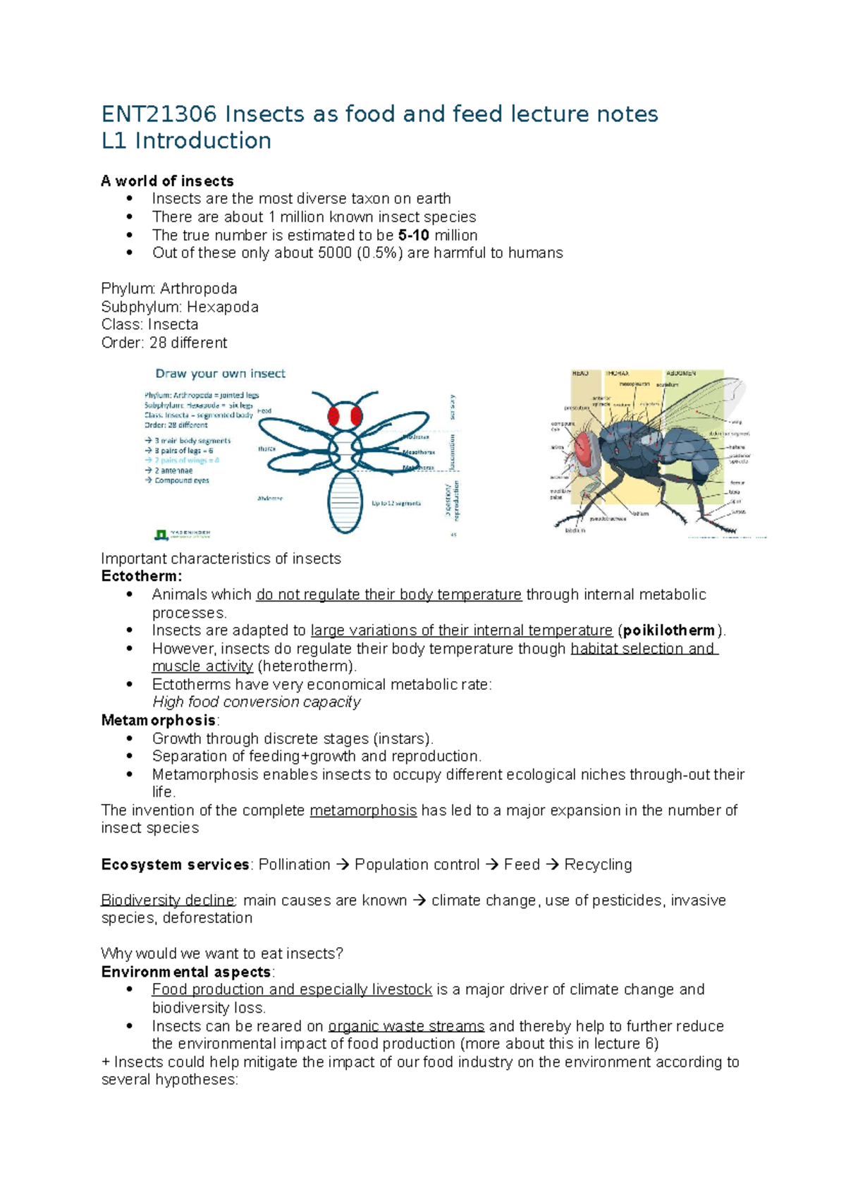 ENT21306 Lecture Notes: Insects as Food and Feed - Introduction and ...