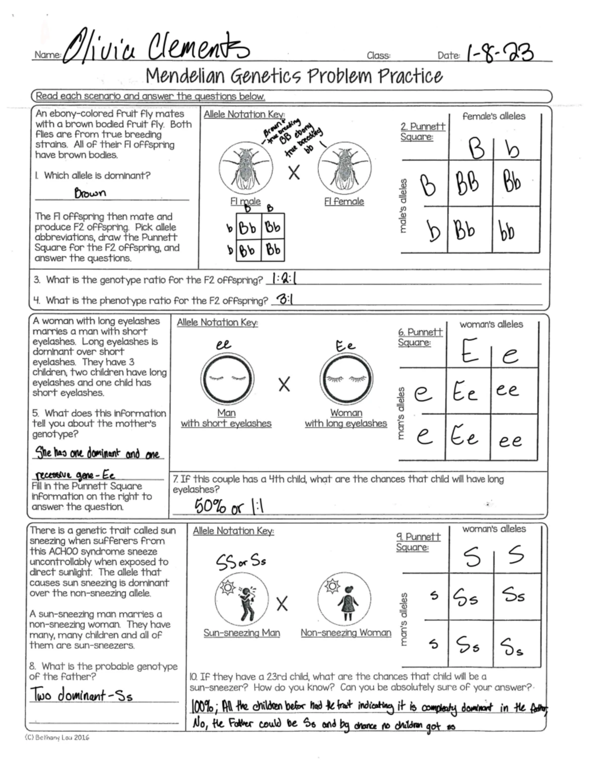 Chapter+11+Pedigree+and+Karyotype+Worksheet g1w - 1. Name: Olivia ...