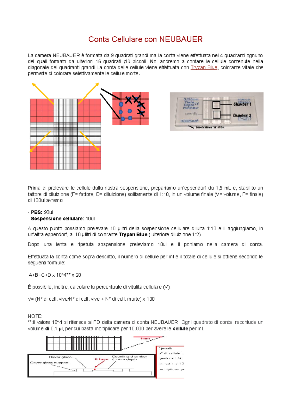Procedure for Cell Count Using Neubauer Chamber - Studocu
