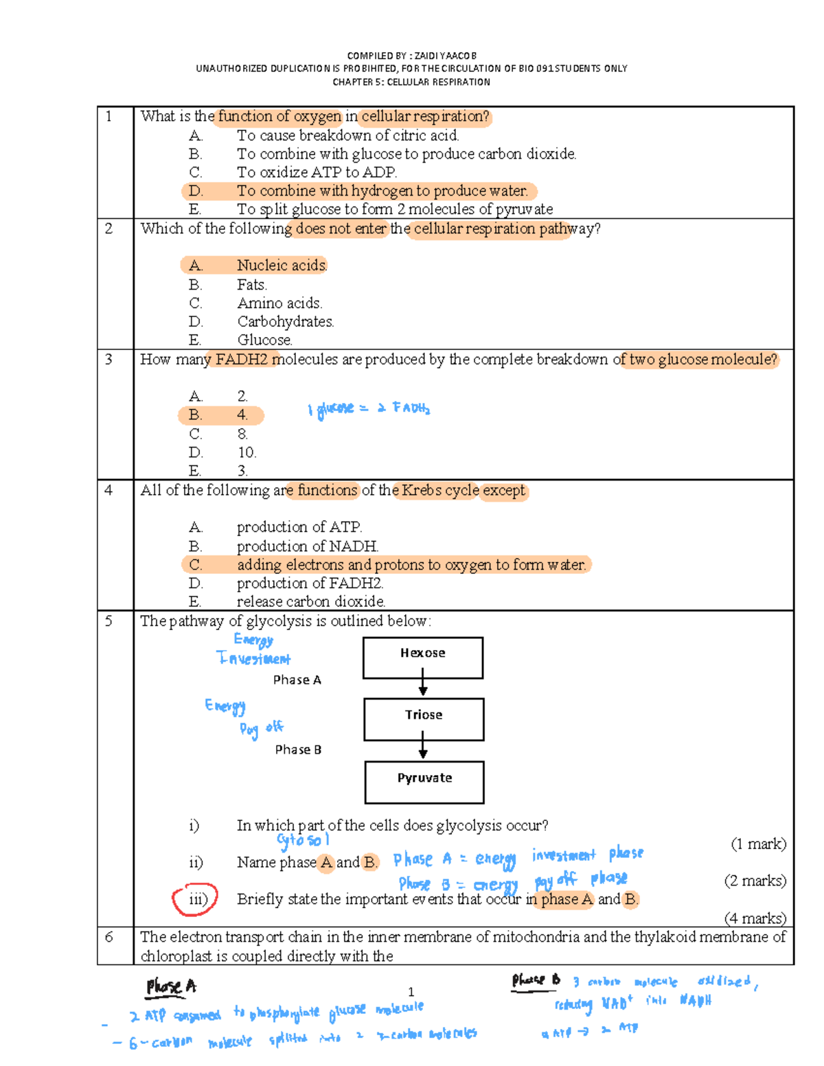 Final Exam BIO 091: Chapter 5 - Cellular Respiration Study Guide - Studocu