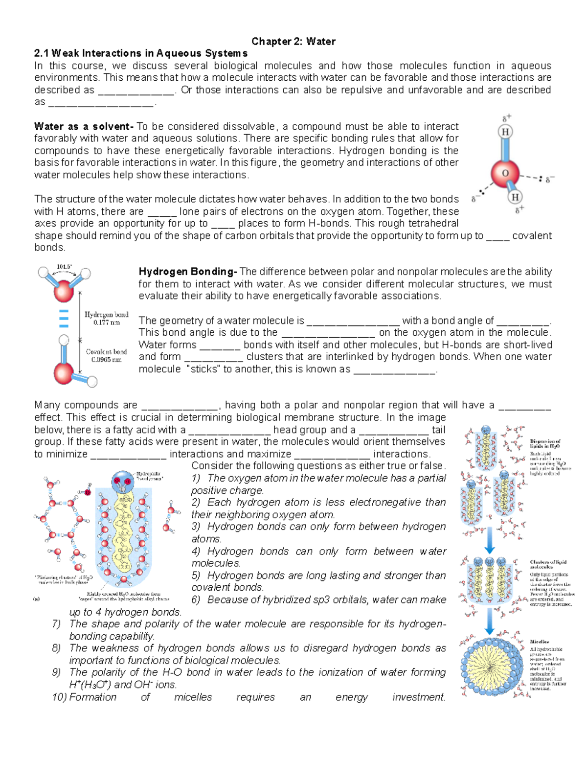 Chapter+2+Water - Chapter 2 Reading Guide - Chapter 2: Water 2 Weak ...