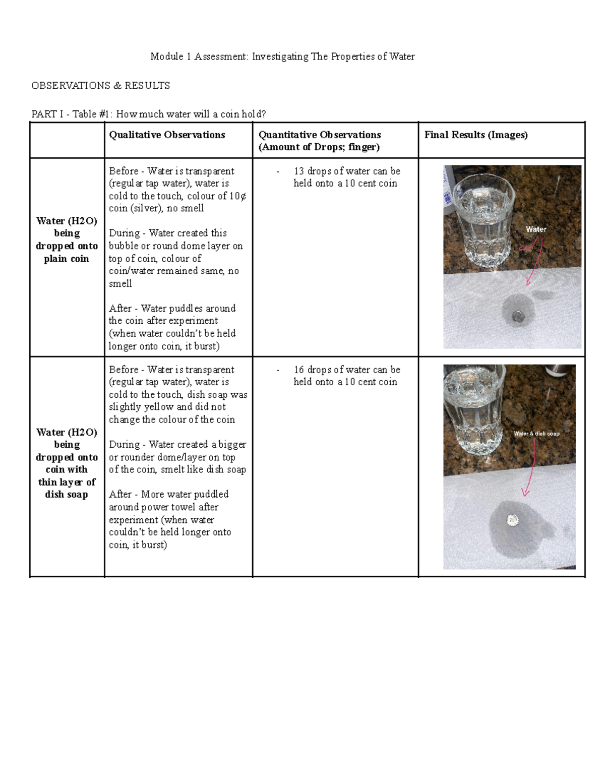 Module 1 Assignment: Exploring Water's Properties and Behavior - Studocu