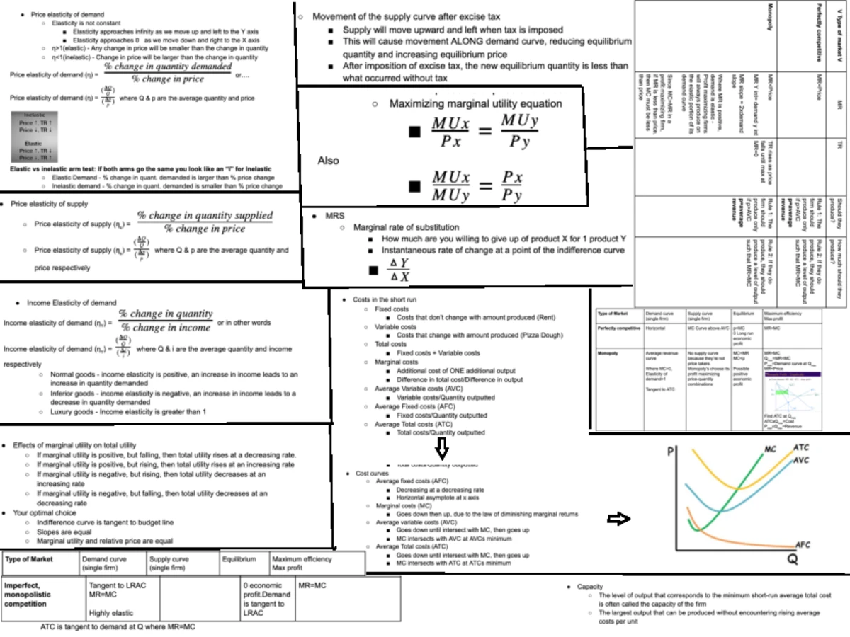 Economics & Management Option (Honours): Program Requirements Overview ...