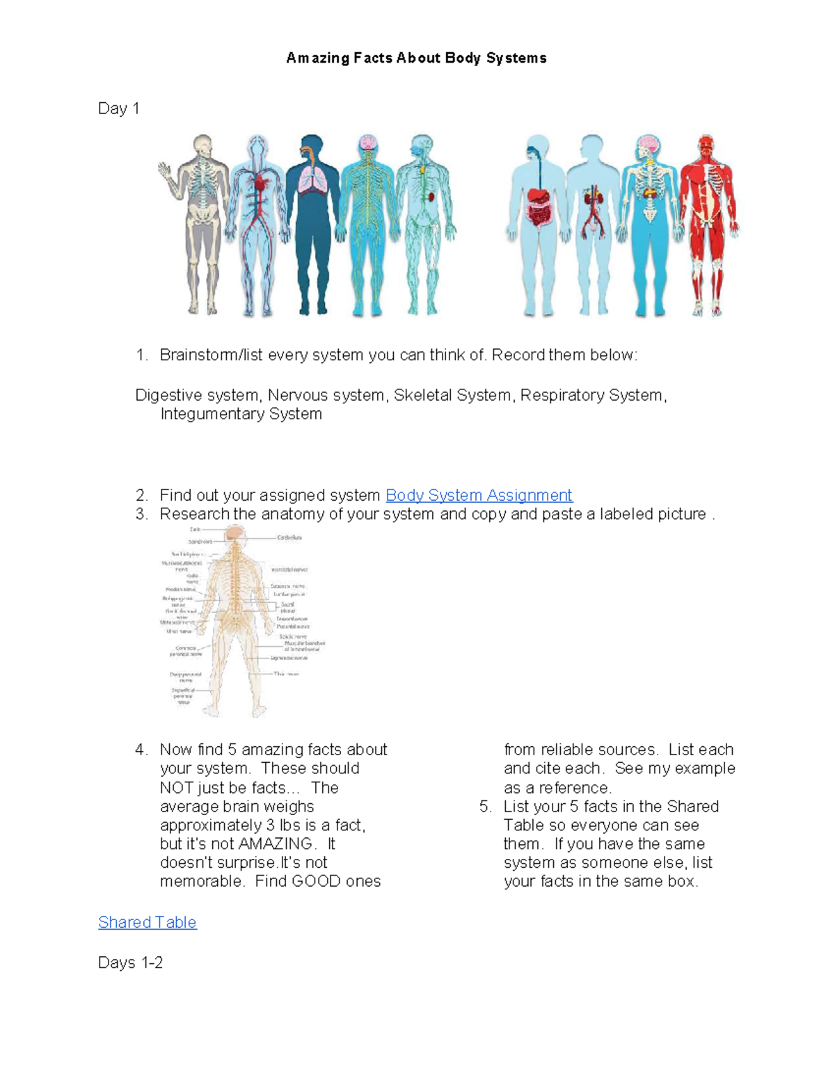 HBS Body Systems Assignment: Amazing Facts & Connections - Studocu