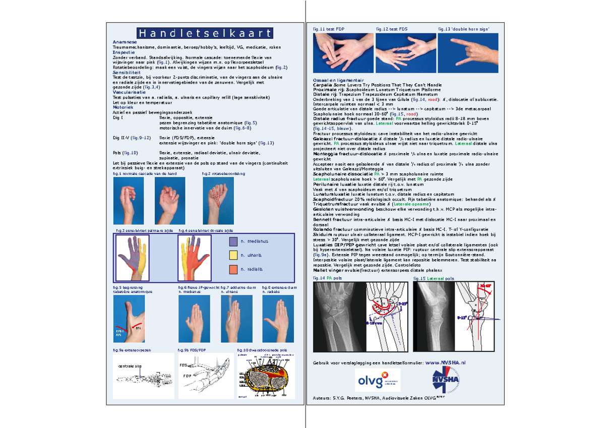 Handletselkaart: Anamnese en Inspectie voor Handblessures - Studeersnel