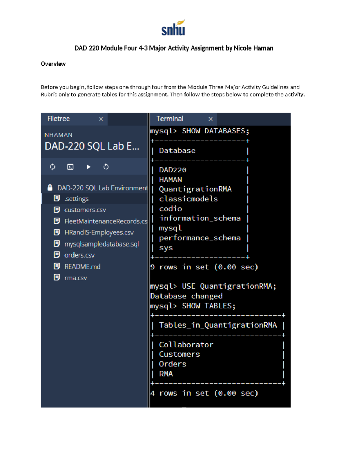 DAD 220 Module Four Major Activity Assignment Overview and SQL Queries ...