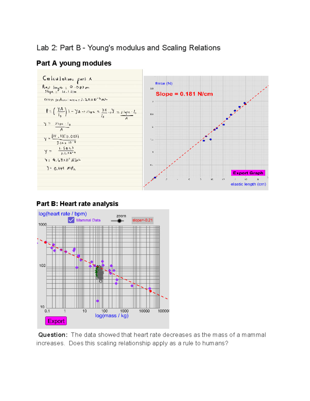 Lab 2 Part B - Young's Modulus & Heart Rate Scaling Relations - Studocu