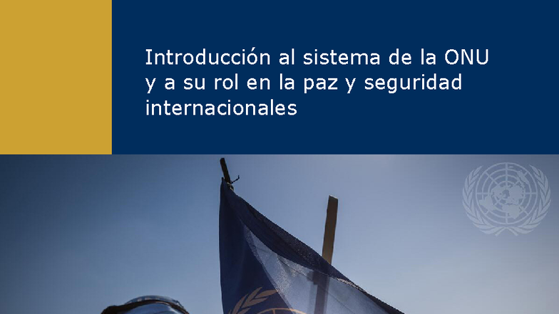 Introducción al Sistema de la ONU y su Rol en la Paz y Seguridad ...