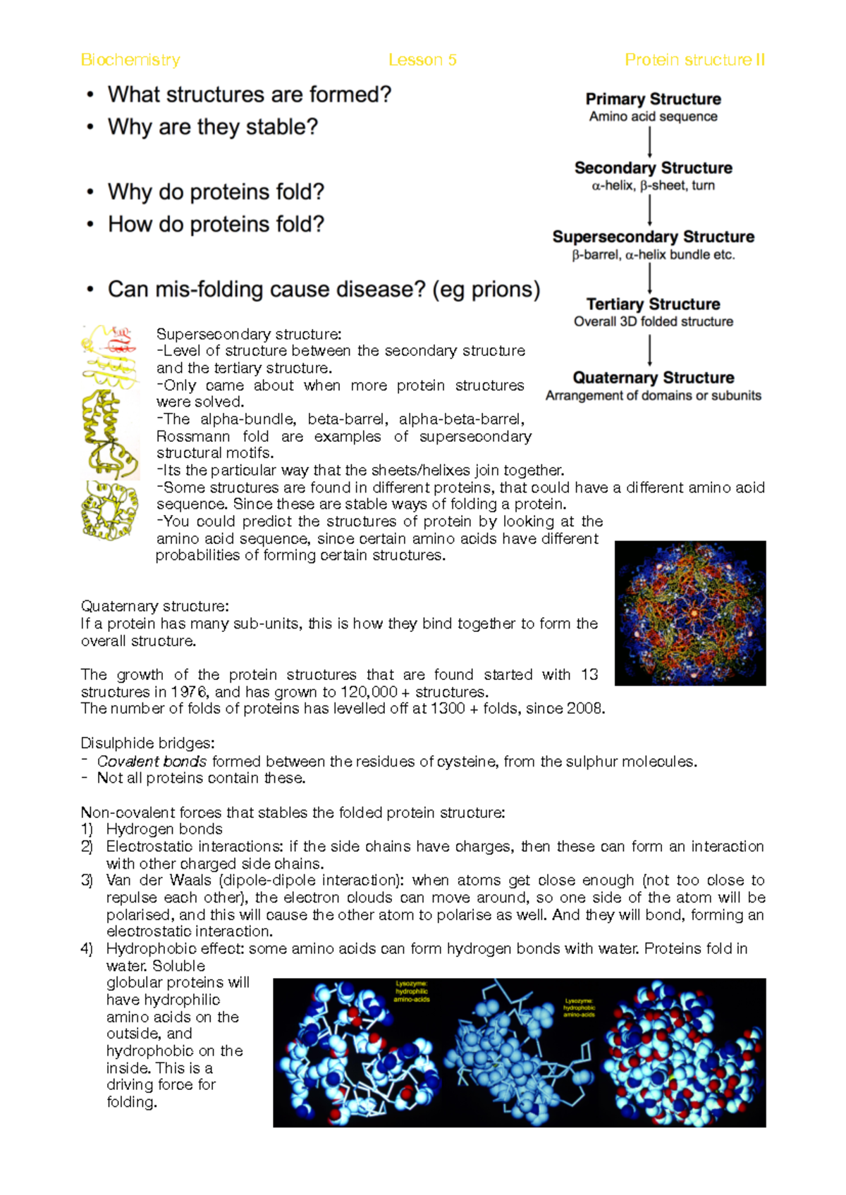 Biochemistry Lesson 5: Protein Structure II Insights and Dynamics - Studocu