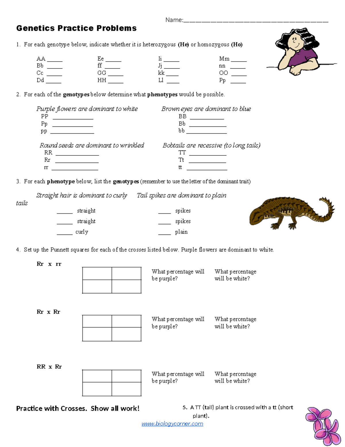 Genetics Practice Problems - Course Code: BIO101 - Studocu