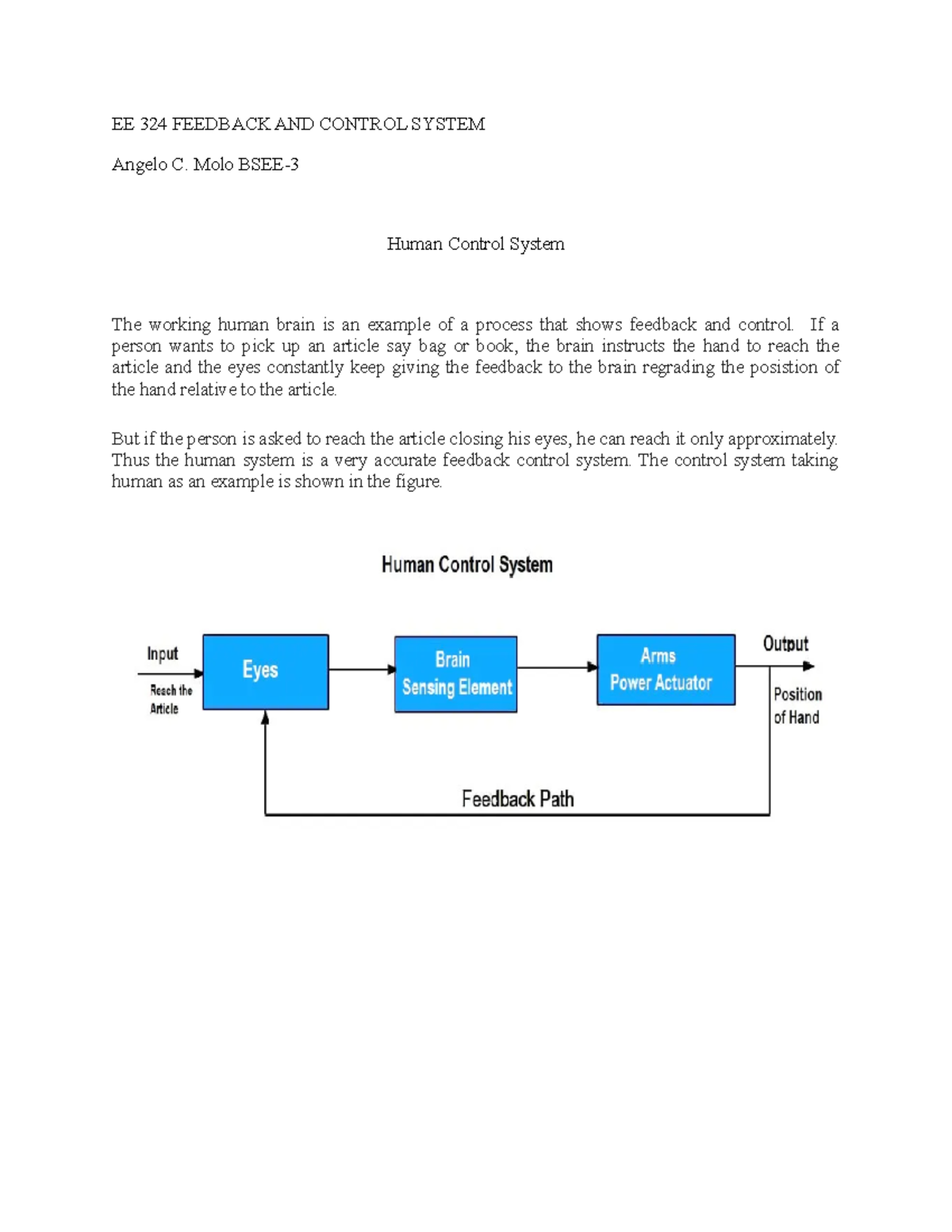 EE 324 - Study Notes on Feedback and Control in Human Systems - Studocu