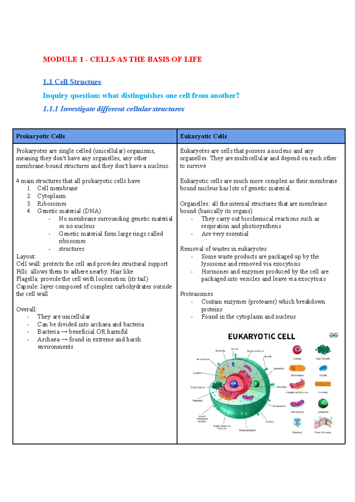 Biology Syllabus Notes - Year 11: Cells, Structures & Functions - Studocu