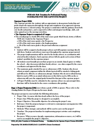 3 Guidelines FOR THE Capstone Project Version 2024 2025 September 2024 ...