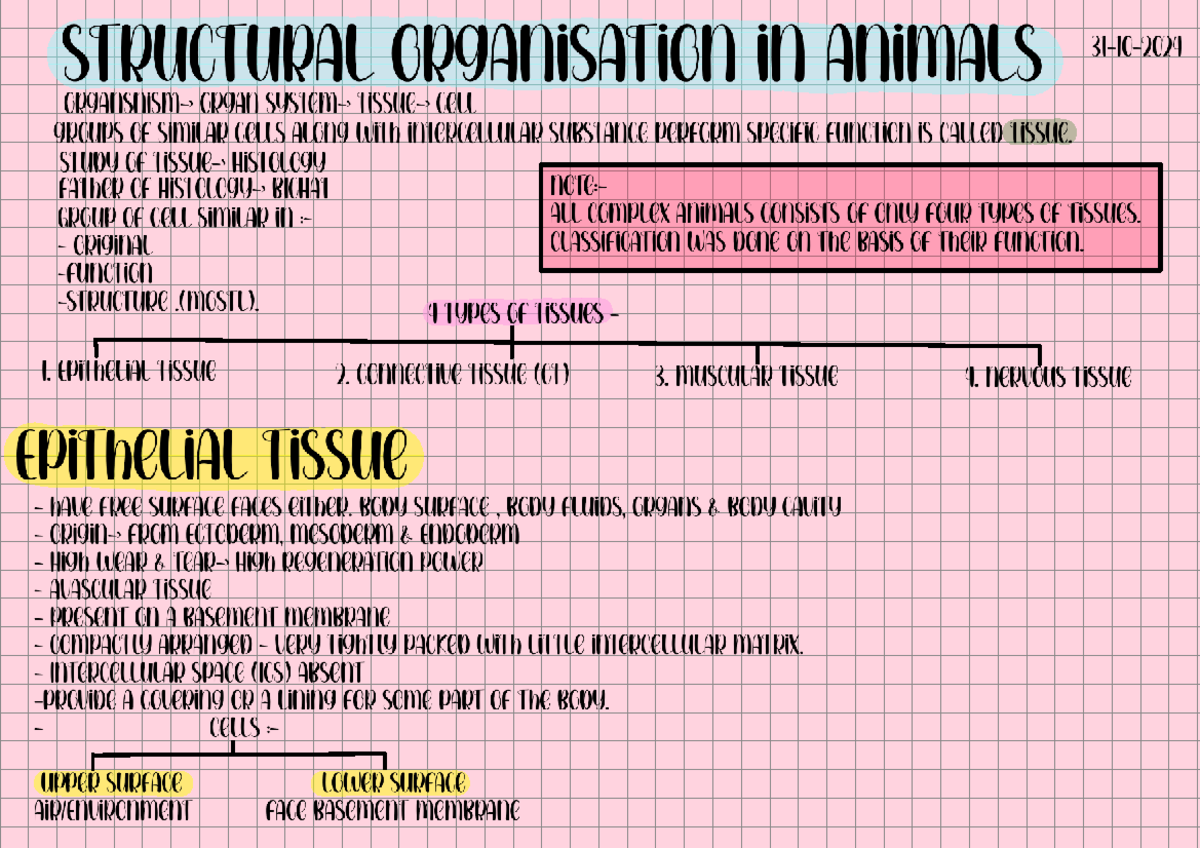 Structural organisation in animals - STRUCTURAL ORGANISATION in AnimALS ...