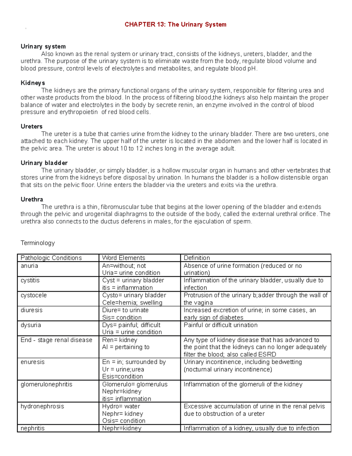 Chapter 13 & 14: The Urinary and Endocrine Systems Overview - Studocu