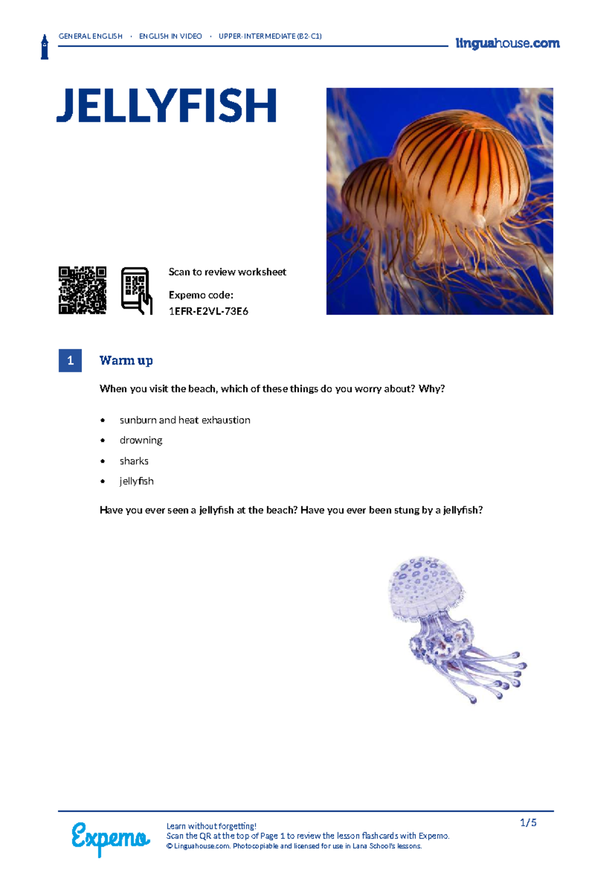 JELLYFISH: A Comprehensive B2-C1 Teacher's Guide - Studocu