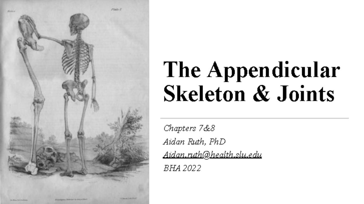Appendicular+Skeleton+%26+Joints+-+BHA+Sp22 - The Appendicular Skeleton ...