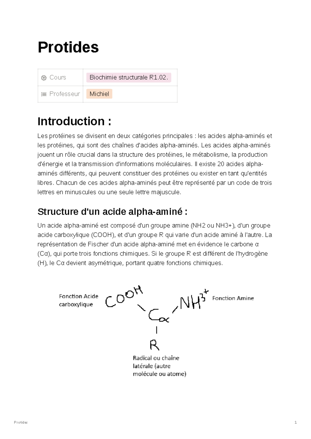 Protides - BUT GB BMB1 - Protides Cours Biochimie structurale R1 ...
