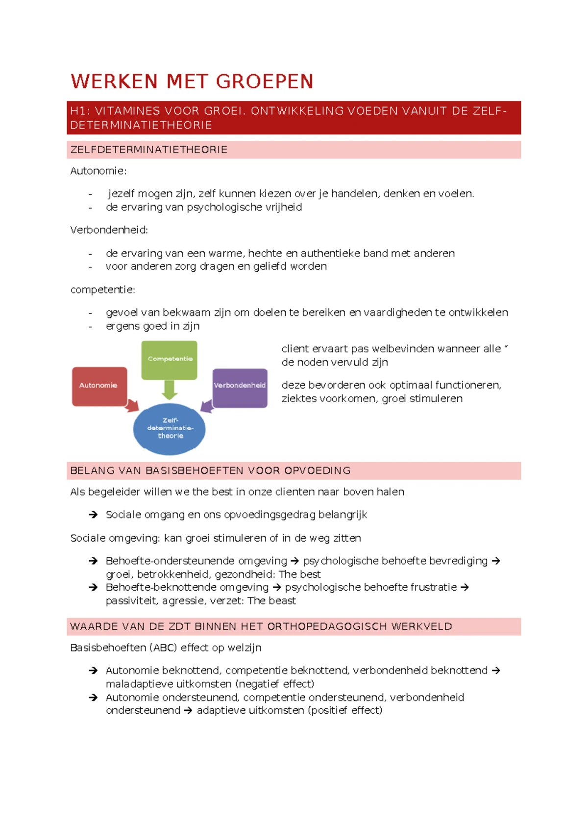 Examen Werken met Groepen: Zelfdeterminatietheorie en Groepscohesie ...
